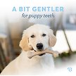 Show in main carousel: Benebone Bacon Flavor Wishbone Tough Puppy Chew Toy, Small slide 3 of 8
