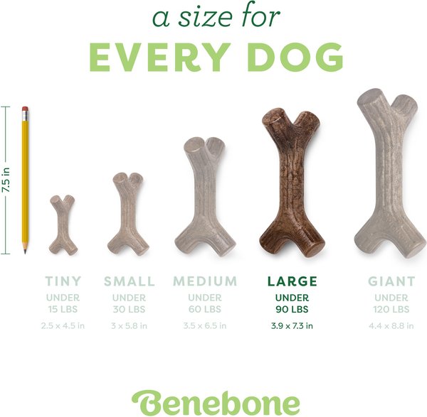 Show full view: Benebone Maplestick Tough Dog Chew Toy, Large slide 5 of 8