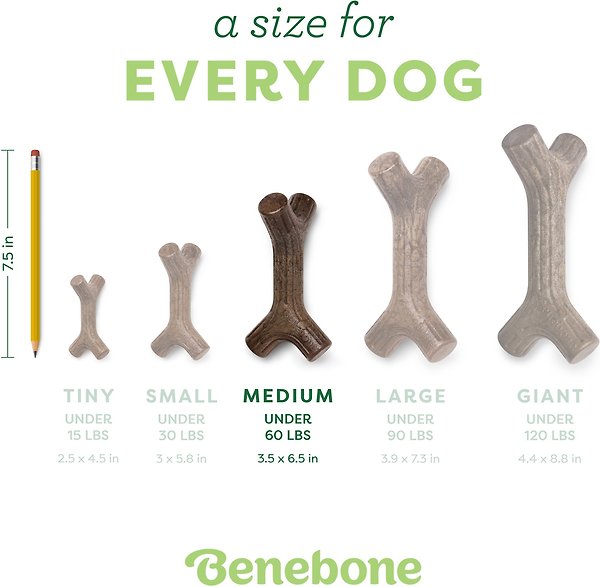 Show full view: Benebone Bacon Stick Tough Dog Chew Toy, Medium slide 5 of 8