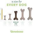 Show in main carousel: Benebone Bacon Stick Tough Dog Chew Toy, Medium slide 5 of 8