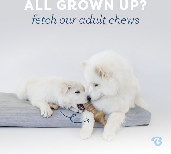 Show full view: Benebone Bacon Flavor Dental Chew & Wishbone Tough Puppy Pack Chew Toy, 2 count slide 7 of 9