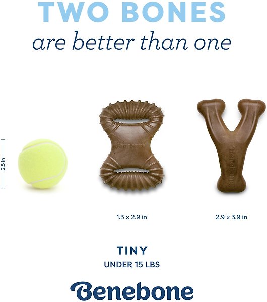 Show full view: Benebone Bacon Flavor Dental Chew & Wishbone Tough Puppy Pack Chew Toy, 2 count slide 6 of 9