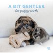 Show in main carousel: Benebone Bacon Flavor Dental Chew & Wishbone Tough Puppy Pack Chew Toy, 2 count slide 4 of 9