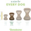 Show in main carousel: Benebone Bacon Flavor Dental Tough Dog Chew Toy, Small slide 5 of 8