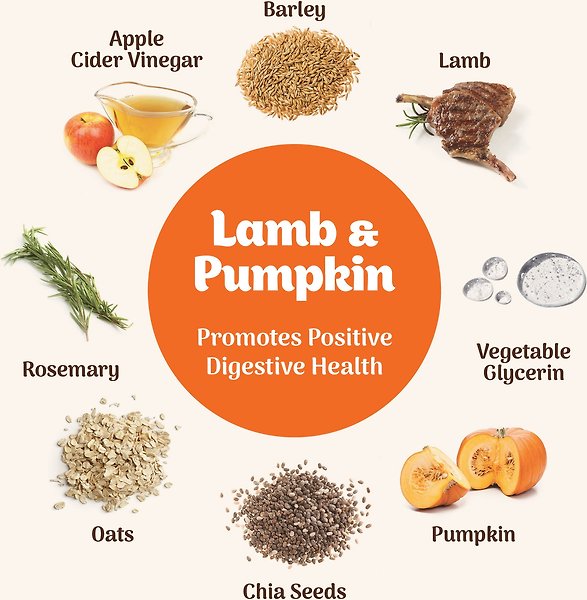 Show full view: Northern Biscuit Softies Lamb & Pumpkin Soft & Chewy Dog Treats, 170-g bag slide 3 of 9