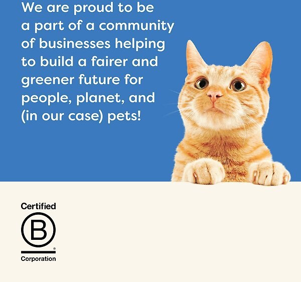 Show full view: Applaws Fish Bone Broth with Tuna Fillet in Broth Wet Cat Food, 3-oz pouch, case of 12 slide 6 of 7