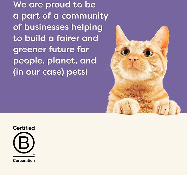 Show full view: Applaws Fish Variety Pack in Broth Limited Ingredient Canned Wet Cat Food, 2.47-oz can, case of 12 slide 7 of 10