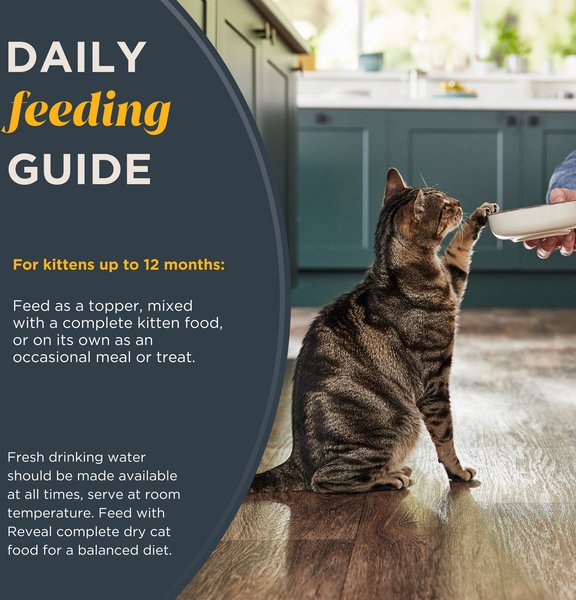 Show full view: Reveal Natural Limited Ingredient Grain-Free Tuna Fillet in Broth Wet Kitten Food, 2.47-oz, case of 12 slide 5 of 8