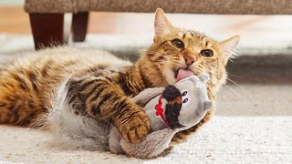 High quality, low prices