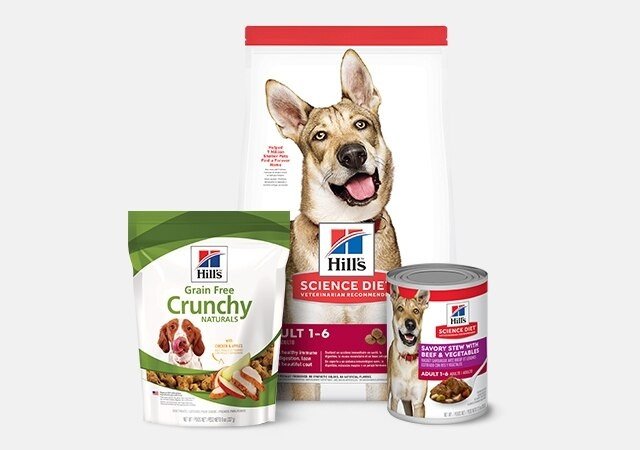Hill's Science Diet Natural Fruity Snacks with Cranberries & Oatmeal Crunchy Dog Treats, 227-g bag
