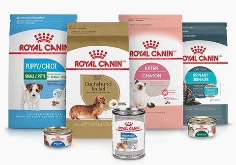 Royal Canin Size Health Nutrition Small Adult Dry Dog Food