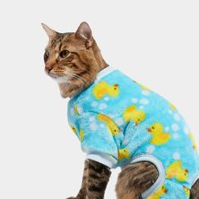 Cat clothing & accessories