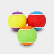 Dog fetch toys