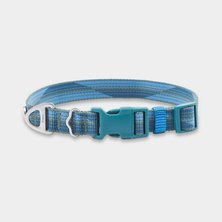 Dog Collars & Leashes