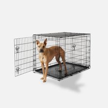 Dog crates, pens & gates
