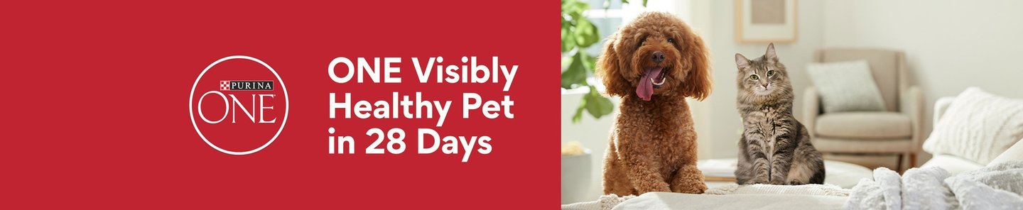 Purina one one visibly healthy pet in 28 days