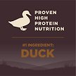 Show in main carousel: Wellness CORE Grain-Free Wild Game Duck, Lamb Meal, Boar & Rabbit Recipe Natural Dry Dog Food, 5.44-kg bag slide 5 of 10