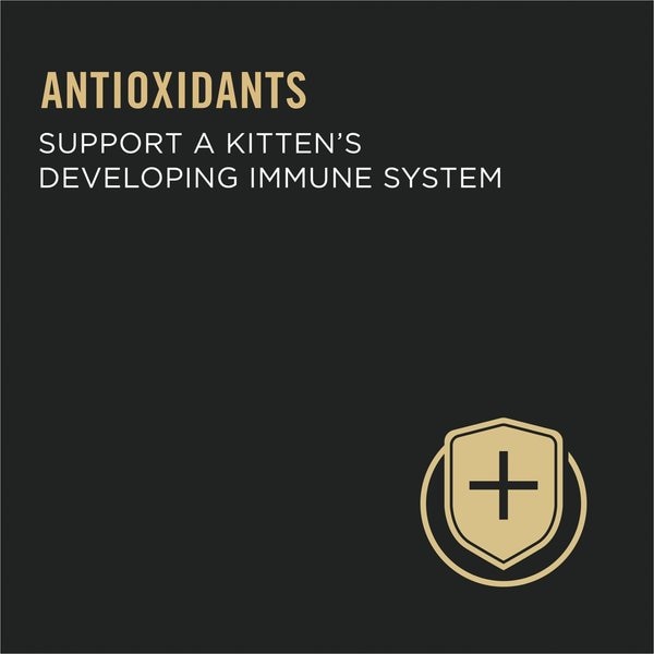 Show full view: Purina Pro Plan Kitten Development Chicken & Liver Entree Wet Cat Food, 85-g can, case of 24 slide 4 of 11