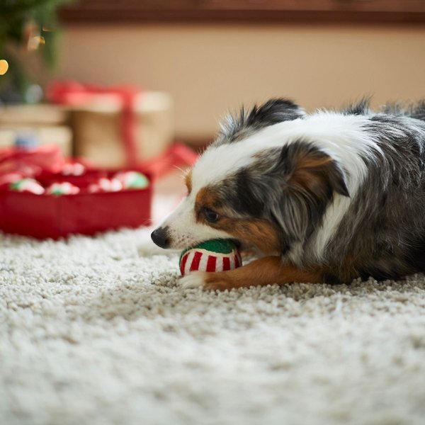 Show full view: Frisco Holiday Wreath Fetch Squeaky Tennis Ball Dog Toy, Medium, 8 count slide 4 of 8