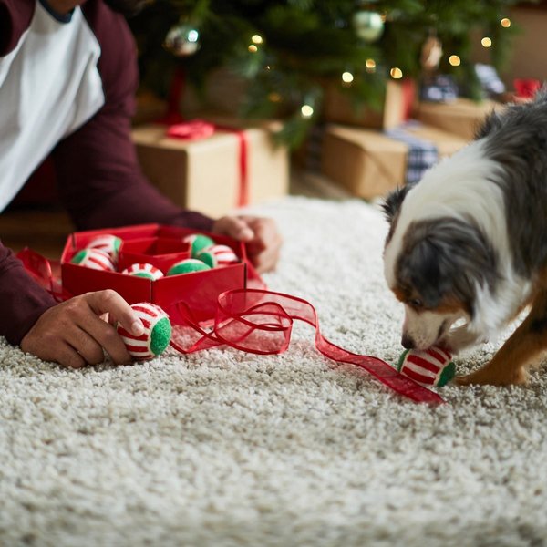 Show full view: Frisco Holiday Wreath Fetch Squeaky Tennis Ball Dog Toy, Medium, 8 count slide 5 of 8