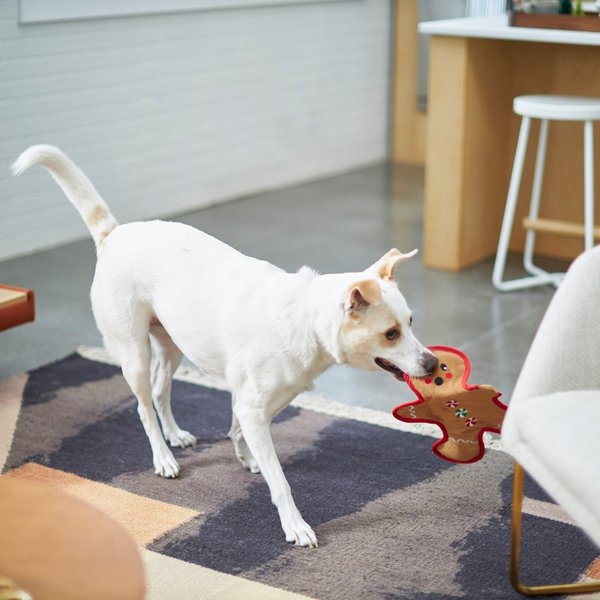 Show full view: Frisco Holiday Gingerbread Man Flat Plush Squeaky Dog Toy, Medium/Large slide 3 of 6