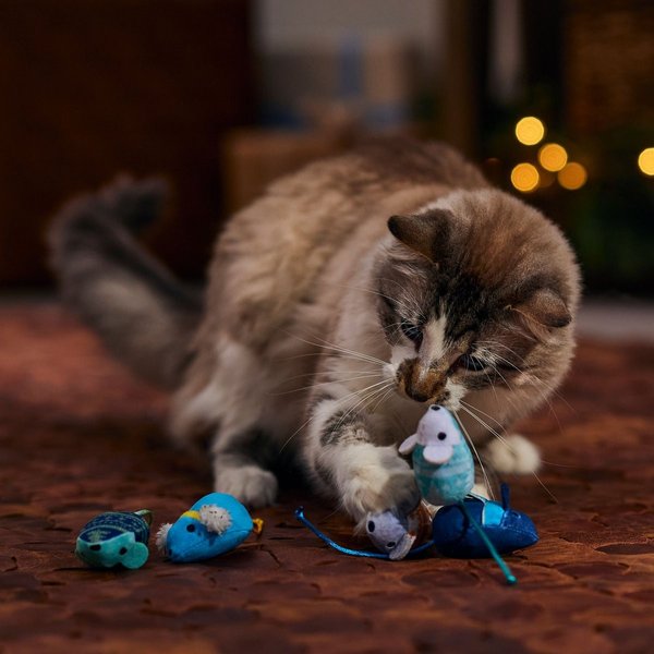 Show full view: Frisco Holiday Festive Arctic Blues Mice Plush Cat Toy with Catnip, 5 count slide 3 of 5