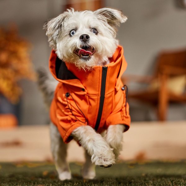 Show full view: Frisco Bonded Wind & Water Resistant Dog & Cat Coat With Removable Hood, Orange, Medium slide 8 of 10