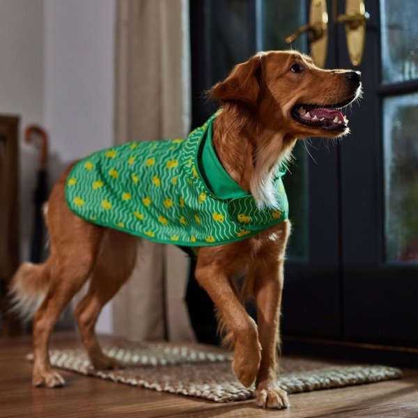 Show full view: Frisco Lightweight Rubber Ducky Dog Raincoat, Green, X-Large slide 6 of 8