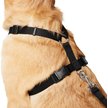 Show in main carousel: Frisco Padded Nylon No Pull Dog Harness, Black, XL- Girth 32 to 50-in slide 2 of 10
