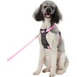 Show in main carousel: Frisco Padded Nylon No Pull Dog Harness, Pink, L- Girth 26 to 40-in slide 1 of 10
