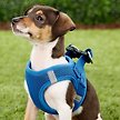 Show in main carousel: Frisco Small Breed Soft Vest Step In Back Clip Dog Harness, Blue, 11 to 13-in chest slide 2 of 8
