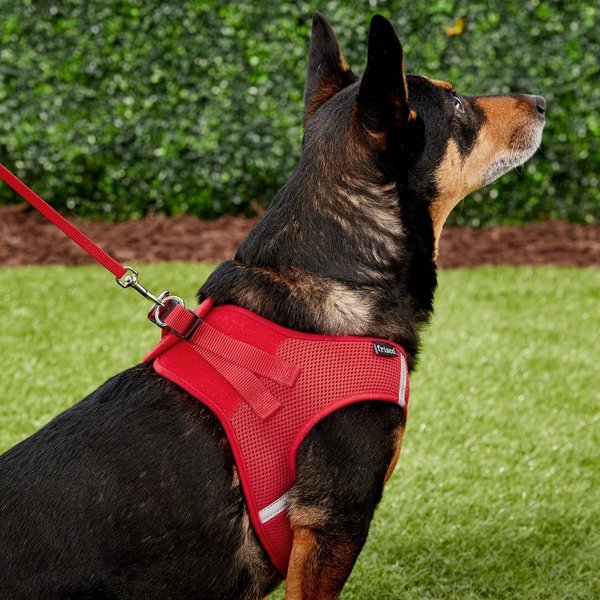 Show full view: Frisco Small Breed Soft Vest Step In Back Clip Dog Harness, Red, 21 to 23-in chest slide 6 of 8