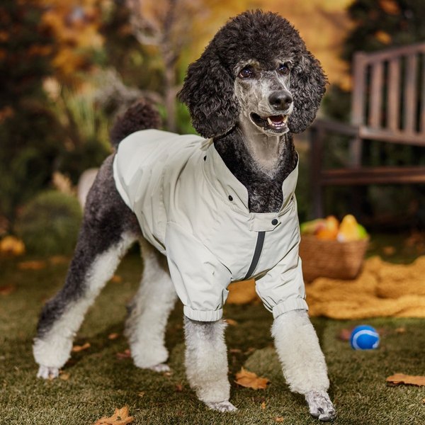 Show full view: Frisco Ultra Lightweight Dog & Cat Windbreaker with Removable Hood, Gray, X-Large slide 7 of 9
