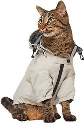 Frisco Ultra Lightweight Dog & Cat Windbreaker with Removable Hood, Gray, Small