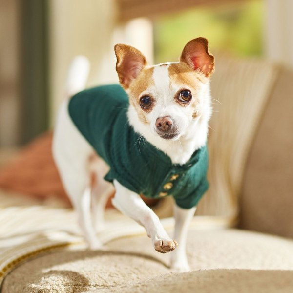 Show full view: Frisco Ribbed Henley Dog & Cat T-Shirt, Green, X-Small slide 8 of 9