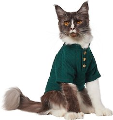 Frisco Ribbed Henley Dog & Cat T-Shirt, Green, X-Small