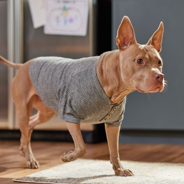 Show full view: Frisco Ribbed Henley Dog & Cat T-Shirt, Gray, Large slide 7 of 8