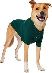 Frisco Ribbed Henley Dog & Cat T-Shirt, Green, XX-Large