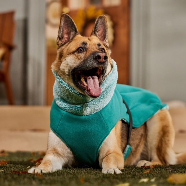 Show full view: Frisco Mediumweight Reversible Two-Tone Fleece and Sherpa Dog & Cat Vest, Teal, XX-Large slide 7 of 9