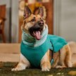 Show in main carousel: Frisco Mediumweight Reversible Two-Tone Fleece and Sherpa Dog & Cat Vest, Teal, XX-Large slide 7 of 9