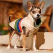 Show in main carousel: Frisco Lightweight Reversible Striped Packable Dog & Cat Puffer, Cream, X-Small slide 7 of 9