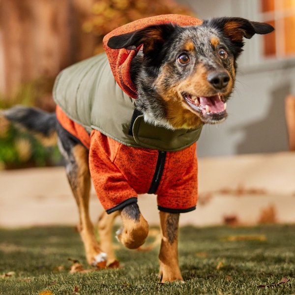 Show full view: Frisco Lightweight Basic Dog & Cat Puffer, Green, Large slide 7 of 9