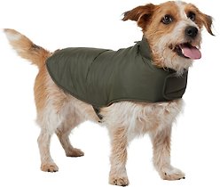 Frisco Lightweight Basic Dog & Cat Puffer, Green, Large