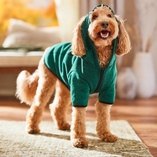 Show full view: Frisco Full Zip Dog & Cat Sweater Fleece Hoodie, Green, Large slide 7 of 9