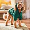 Show in main carousel: Frisco Full Zip Dog & Cat Sweater Fleece Hoodie, Green, Large slide 7 of 9