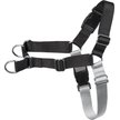 Show in main carousel: Frisco Basic No Pull Harness, Black/Gray, SM slide 1 of 6