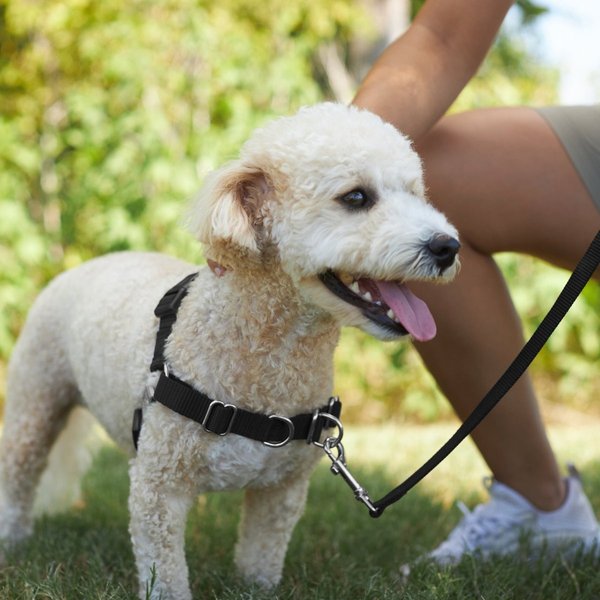 Show full view: Frisco Basic No Pull Harness, Black/Gray, SM slide 5 of 6