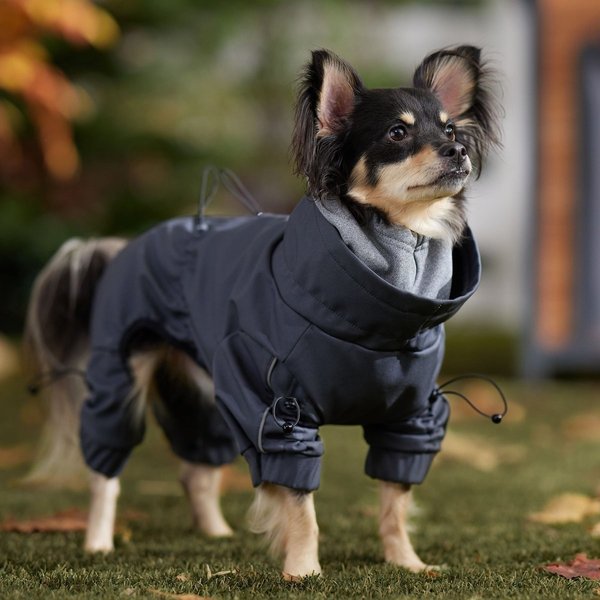 Show full view: Frisco All Weather Bonded Dog Suit with Knit Snood, Charcoal, Small slide 7 of 9