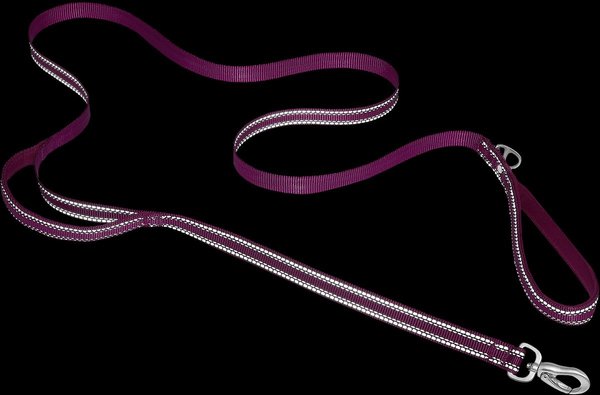 Show full view: Frisco Outdoor Nylon Reflective Comfort Padded Dog Leash, Boysenberry Purple, LG - Length: 6-ft, Width: 1-in slide 3 of 8