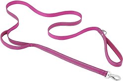 Frisco Outdoor Nylon Reflective Comfort Padded Dog Leash, Boysenberry Purple, LG - Length: 6-ft, Width: 1-in